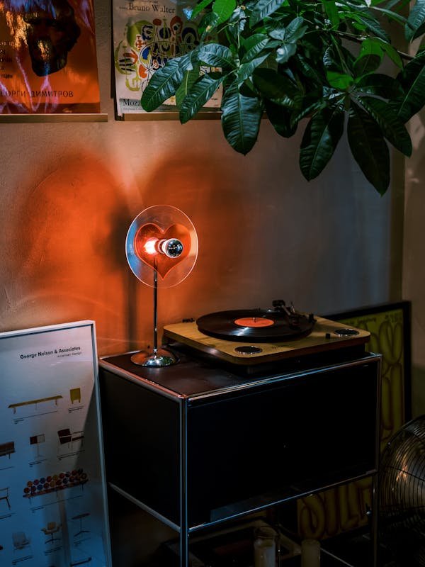 Vinyle tekno : la collection qui fait vibrer la scène électro